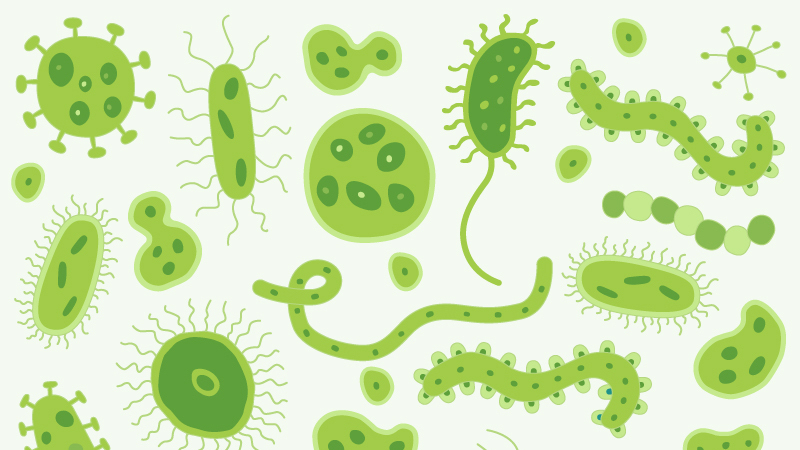 Microbiome